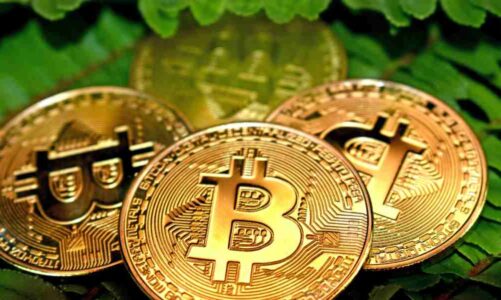 Bitcoin Insurance, Solutions For Hedging Risks