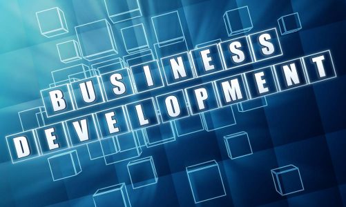 PERFORMANCE BUSINESS DEVELOPMENT STRATEGY