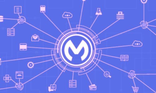 MuleSoft Data Integration Platform – Unbearable Ease Of Integration