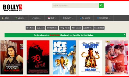 Bollyflix [2024] – Download HD Movies & Stream For Free