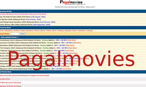 Pagalmovies 2023: Online Platform To Download South Indian, Hollywood, And Bollywood HD Movies