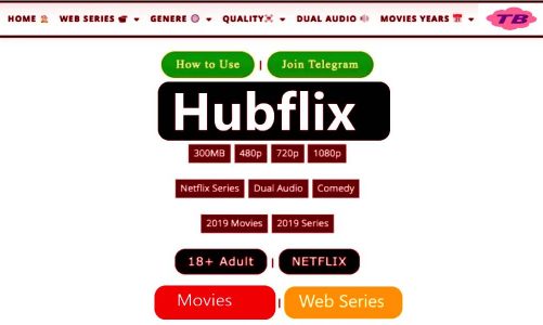 Hubflix 2021: Latest Movies Hub For Downloading 480p, 720p, HD Movies Website