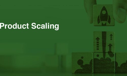 All About Product Scaling & Maturity