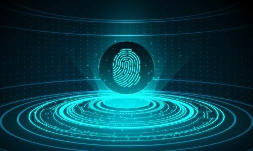 The Legislative Framework For Biometrics