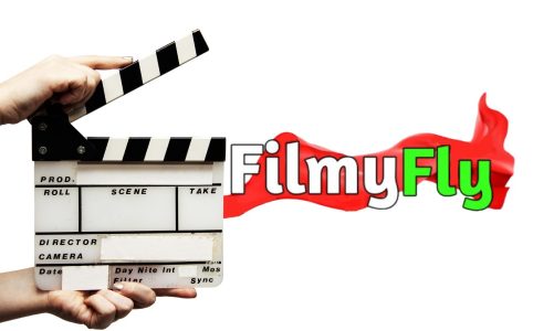Filmyfly.com